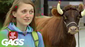 Cop Turns into Bullfighter Prank!