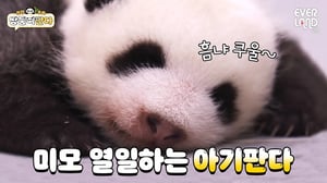 [ENG] 저의 우렁찬 포효 들으셨다구요??😳 초큼 부끄러운걸요? | #바오바오 EP.7 제가 언제 그랬어요? | 에버랜드 판다월드