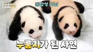 [ENG] 꼬순내 폴폴~ 아기판다 누룽지&백설기 배달왔어요! | #바오바오 EP.8 색깔이 달라요! | 에버랜드 판다월드