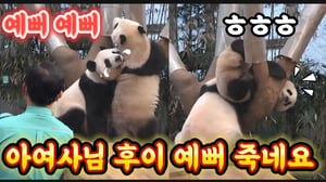 에버랜드 판다월드 💢 맙소사!후르쉐 씨는 잠자는 어머니를 괘롭히고 말썽을 피웠는데...