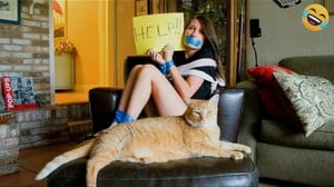 New Funniest Animals videos🤩 Funny Cats🐈and Dogs🐕2024