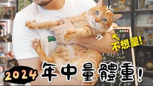 【黃阿瑪的後宮生活】2024年中量體重！在新家第一次量！