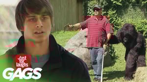 Truck Blows Up, Blind Man Walks Into Gorilla Cage, Painting Gorilla Prank