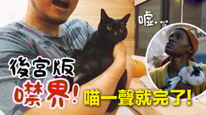 【黃阿瑪的後宮生活】後宮版噤界！喵一聲就完了！