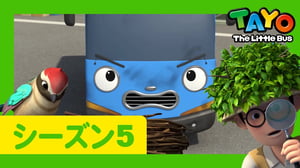 ちびっこバス タヨ l はたらくくるま l 5 シリーズ 7 エピソード l タヨの鳥の友だち l Tayo Japanese Episode