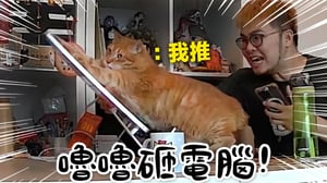 【黃阿瑪的後宮生活】嚕嚕砸電腦！