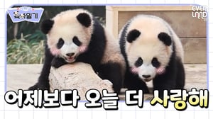 [ENG] 엄마 아빠 언니 골고루 닮아 개성만점 루이&후이💚│#사랑이 육아일기 EP2. 사랑둥이 루이, 재간둥이 후이