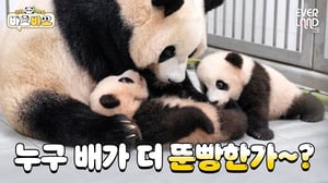 [ENG] 루히히! 후히히! 사랑 넘치는 엄마와 딸랑방구들🖤｜#바오바오 EP.14 엄마 루이후이좋아 | 에버랜드 판다월드