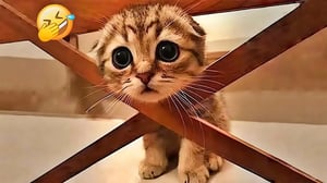 You Laugh You Lose😻Funniest Dogs and Cats 2025🤣🐶