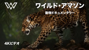 ワイルド・アマゾン | 究極の捕食者たちの謎 | 動物ドキュメンタリー