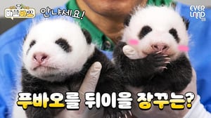 [ENG] 쌍둥이 아기판다의 MBTI는? 같은 날 태어나도 성격은 극과극🤣 | #바오바오 EP.6 성격이 달라요! | 에버랜드 판다월드