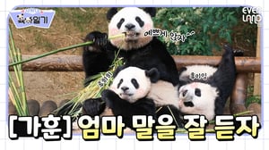 [ENG]매너가 판다를 만든다│#사랑이 육아일기 EP7.아이들을 바르게 키우기 위해서