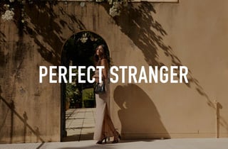Perfect Stranger