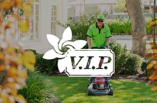VIP Home Services