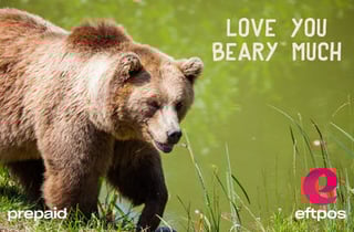 Beary Much - eftpos