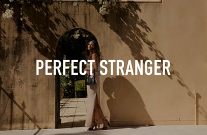Perfect Stranger