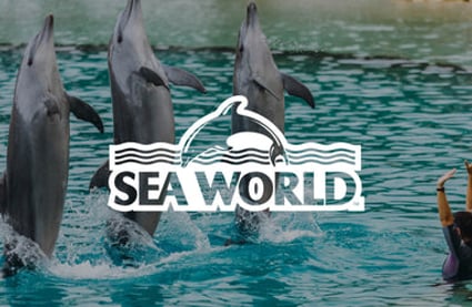 Sea World