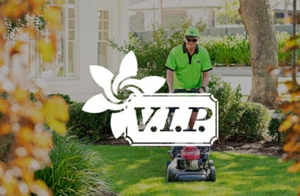 VIP Home Services