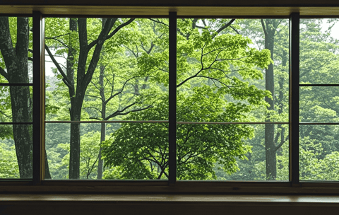 Understanding Window Repair Costs: Common Issues and Average Prices