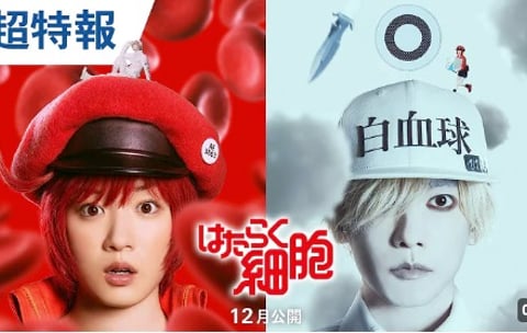 はたらく細胞 (2024)：作品情報