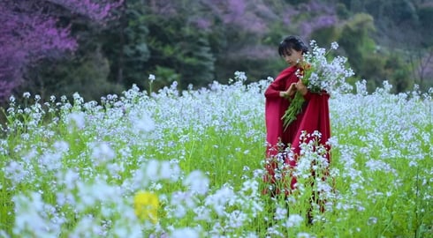 不能去人多的地方扎堆儿,赶在上巳节这天家门口春个游!Avoid crowds, and go spring outing nearby!丨Liziqi Channel