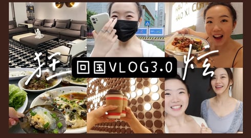 回国丰富生活Vlog3: “畊宏女孩”上线！持续掉体重的一个月！去“大户“朋友家看精美茶具！DIY做皮具、探访深圳tim hortons，去佛山乐从家具城，开眼界了！