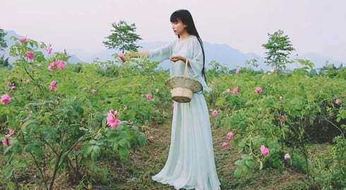 The best gift for woman——The rose paste of Damascus 女人最好的礼物——大马士革玫瑰酱!|Liziqi channel