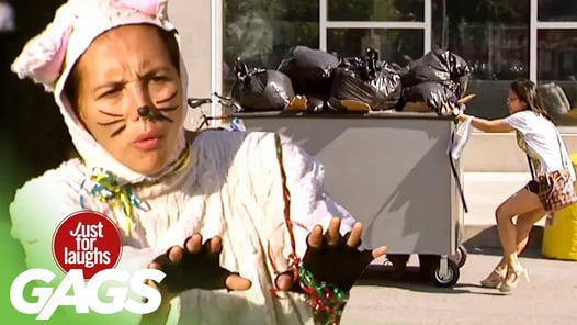 Dog In Garbage Cart Chases Cat Lady