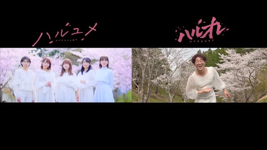 【MV比較】女子メンバーの「ハルユメ」とよっちの「ハルオレ」のMVを並べてみたら面白すぎたwww【ボンボンTV】