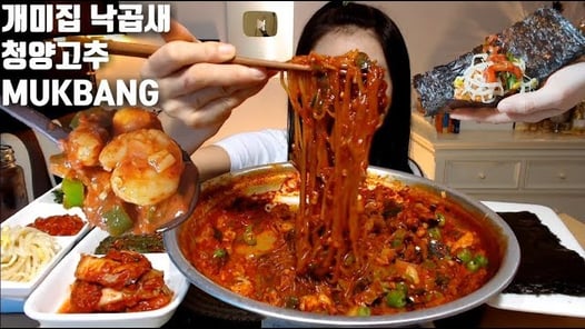 [ENG]개미집 낙곱새 청양고추 오징어젓갈 먹방 mukbang spicy seafood hot Pot Korean eating show mgain83