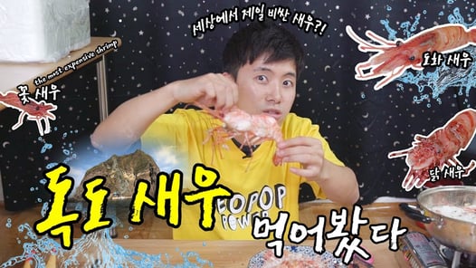 세상에서 제일 비싼?! 초거대 독도새우 3종 다 먹어봄! 대박 맛있음! (도화새우, 닭새우, 꽃새우) - 허팝(the most expensive giant shrimp)