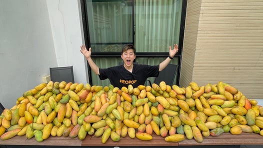 망고가 너무 비싸서 망고1000개 사먹으러 태국 와버렸습니다!!! - 허팝