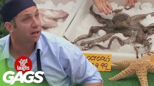Fingers Crushed By Food Truck, Live Octopus, Mascot Falls Down Stairs Prank!