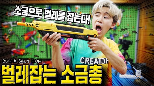 총알 대신 소금으로 파리,모기,나방 다잡아버렸습니다ㅋㅋㅋ벌레잡는 솔트건 (Bug a Salt Gun)