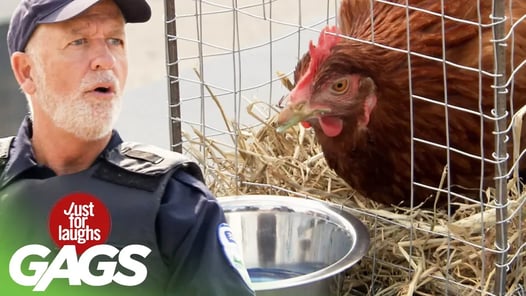 Super-Powered Chicken Takes A Stand Against The Cops