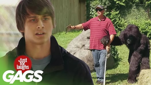 Truck Blows Up, Blind Man Walks Into Gorilla Cage, Painting Gorilla Prank