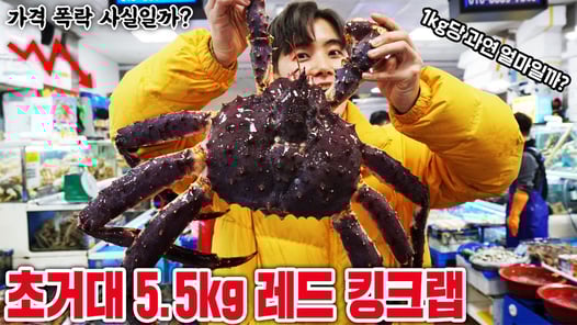 킹크랩 가격 싸졌다해서 5.5kg 초거대 킹크랩 주문했는데 얼마가 나올까요?! 그 맛은?!