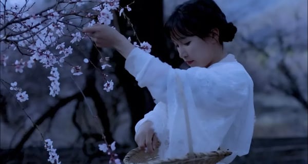 made some desserts out of peach blossom 张罗了些桃花味的小甜点,碾作汁熬成浆,依旧香的固执| Liziqi channel