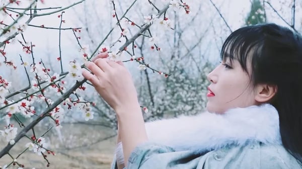 Special pigeon soup,it's good for you when the spring comes春暖花开，来一碗梅花鸽子汤补补元气！Liziqi channel