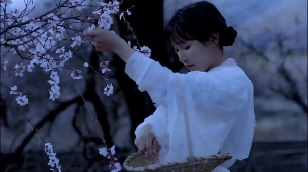 made some desserts out of peach blossom 张罗了些桃花味的小甜点，碾作汁熬成浆，依旧香的固执| Liziqi channel