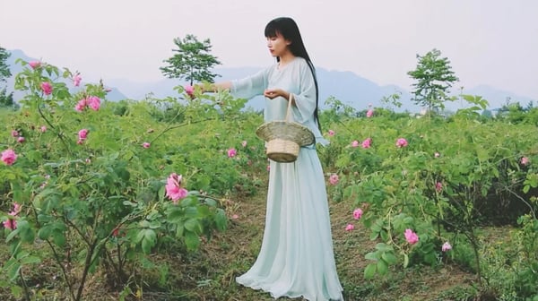 The best gift for woman——The rose paste of Damascus 女人最好的礼物——大马士革玫瑰酱！|Liziqi channel