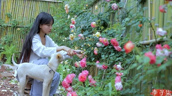 （笋）Best Time of Year to Comsume Juicy and Tender Bamboo Shoots; Pick As Much As You Like | Liziqi