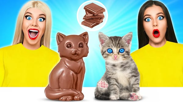 Chocolate vs Real Food Challenge #3 초콜릿 대 실제 음식 도전 Multi DO 다 마
