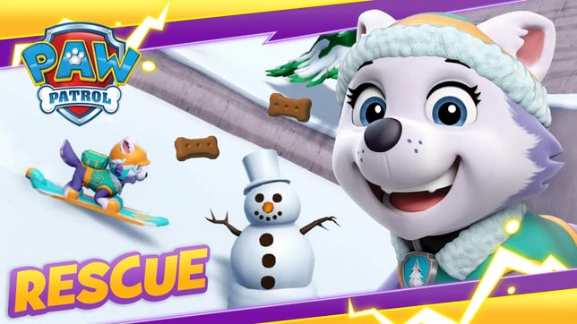 Everest and Rocky Save Jake! - PAW Patrol - Cartoon and Game Rescue Episode for Kids