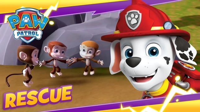 Pups Save a Space Monkey and Stinky Monkeys! - PAW Patrol - Cartoon and Game Rescue Episode for Kids