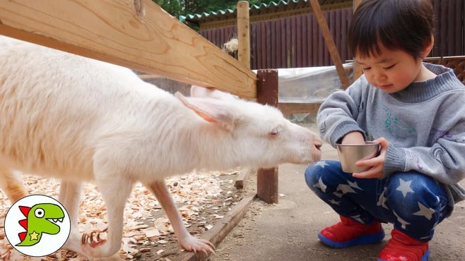 おでかけ 富士サファリパークに行ったよpart２❤動物園 Toy Kids トイキッズ