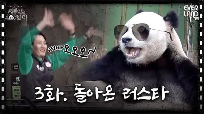 [ENG]러부지의 굳은 결심은 과연?! (Feat. 똥글똥글 러바오 얼굴형 비법 공개)│#러부지는LOVE지 EP.3 돌아온 러스타