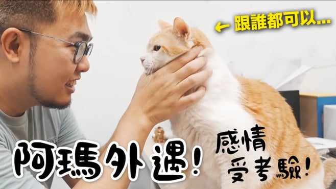 【黃阿瑪的後宮生活】阿瑪外遇！跟狸貓的感情受考驗！