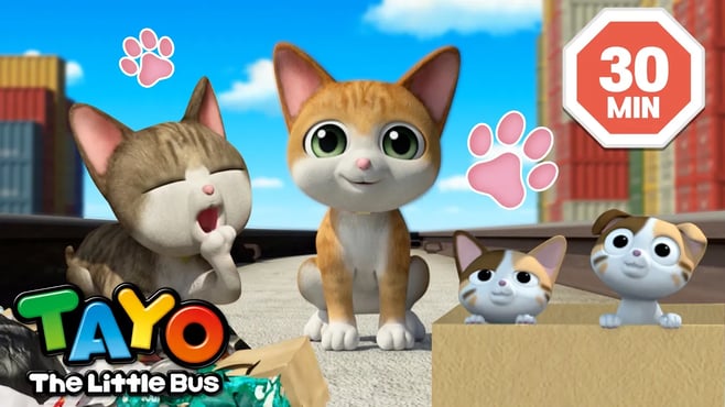 Happy International Cat Day!๐ธ | Tayo and the Cat Episodes Compilation | Tayo the Little Bus