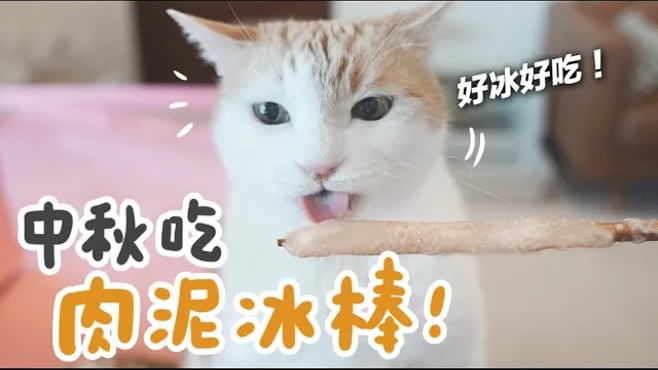 【黃阿瑪的後宮生活】中秋吃肉泥冰棒！